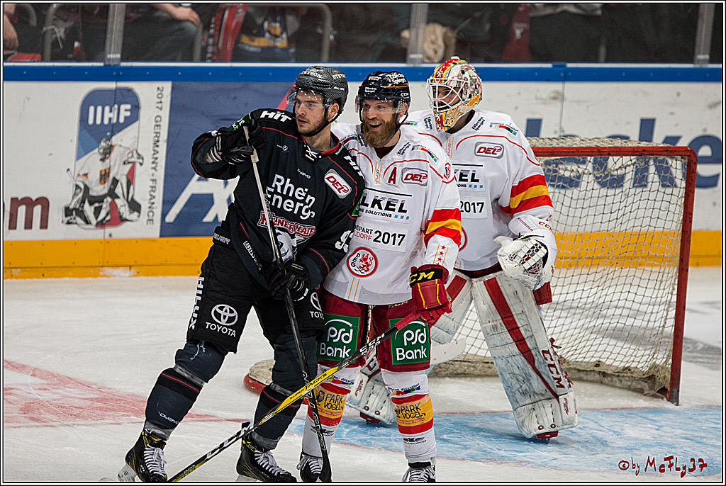 DEL, Koelner Haie - Duesseldorfer EG, 14.02.2017